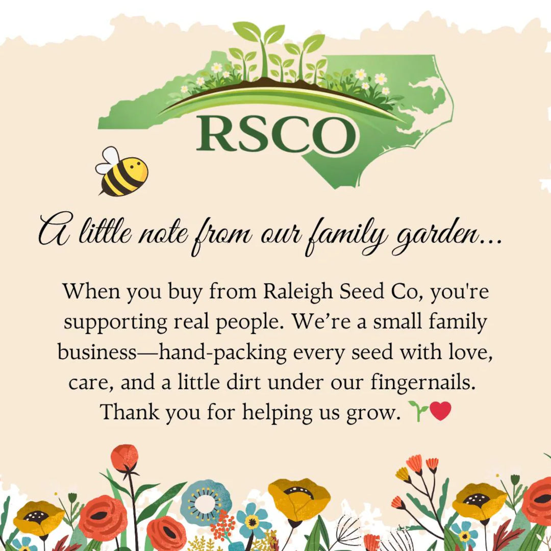 Baby in Bloom Bee Wildflower Seed Favors 25 Pack, Honeycomb Baby Shower Favors