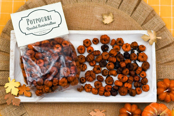Mini Pumpkin Potpourri - Oily BlendsMini Pumpkin Potpourri